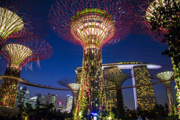 Singapore Supertree Food Experience Need To Try In Singapore