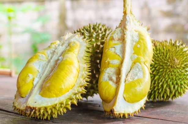 Try to Eat Durian Food Experience must eat when traveling to Singapore